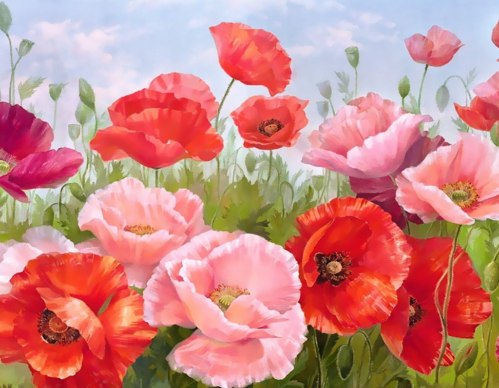 Pivoines Rousses et Roses Peinture par Numéros