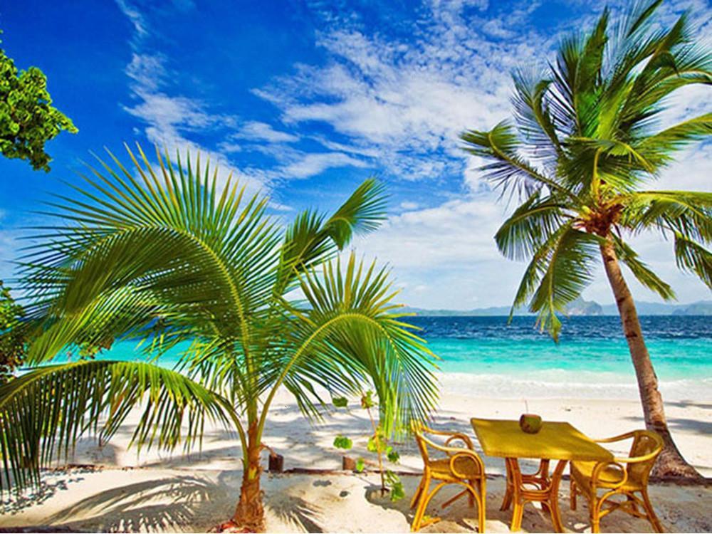Plage et Cocotier Peinture par Numéros
