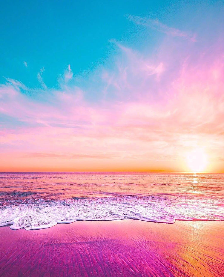 Plage et Mer Roses Peinture par Numéros