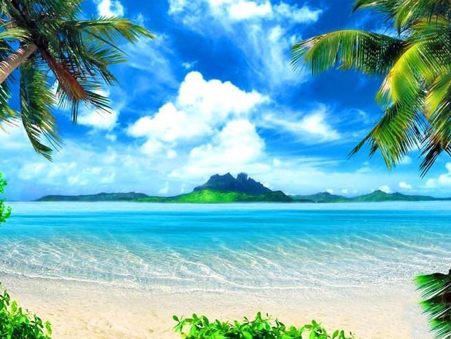 Plage Tropicale Palmier Mer Turquoise et Ile Peinture par Numéros