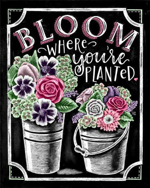 Plante Fleurs Avec Seau Peinture par Numéros