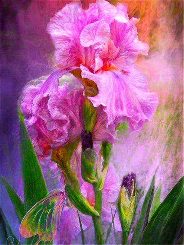 Plante Fleurs Roses Peinture par Numéros