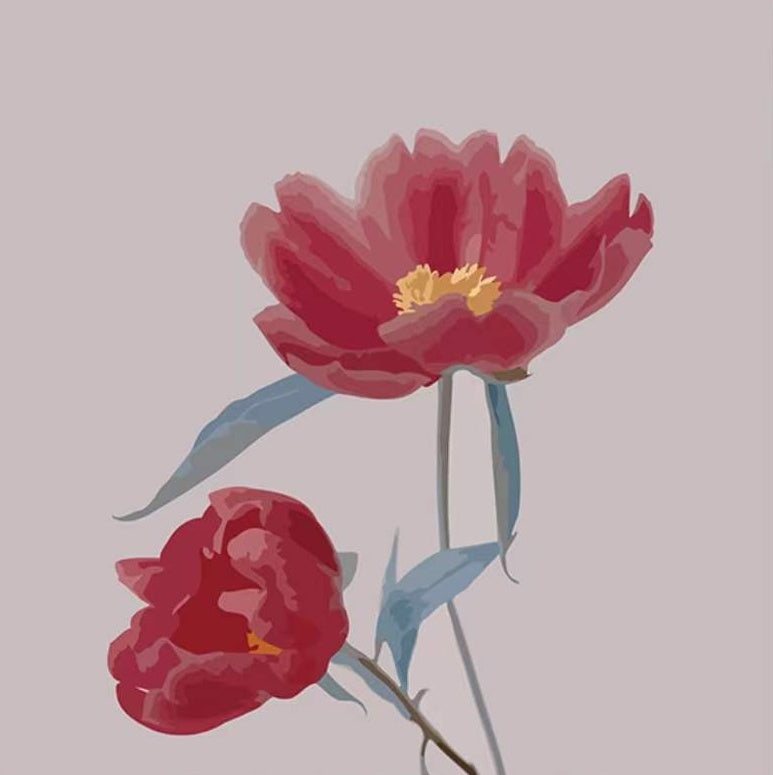 Plante Fleurs Rouges Magnifiques Peinture par Numéros