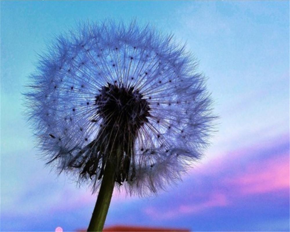 Plante Pissenlit Bleu et Violet Peinture par Numéros