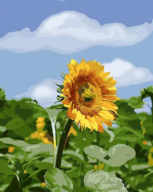 Plante Tournesol et Nuage Peinture par Numéros