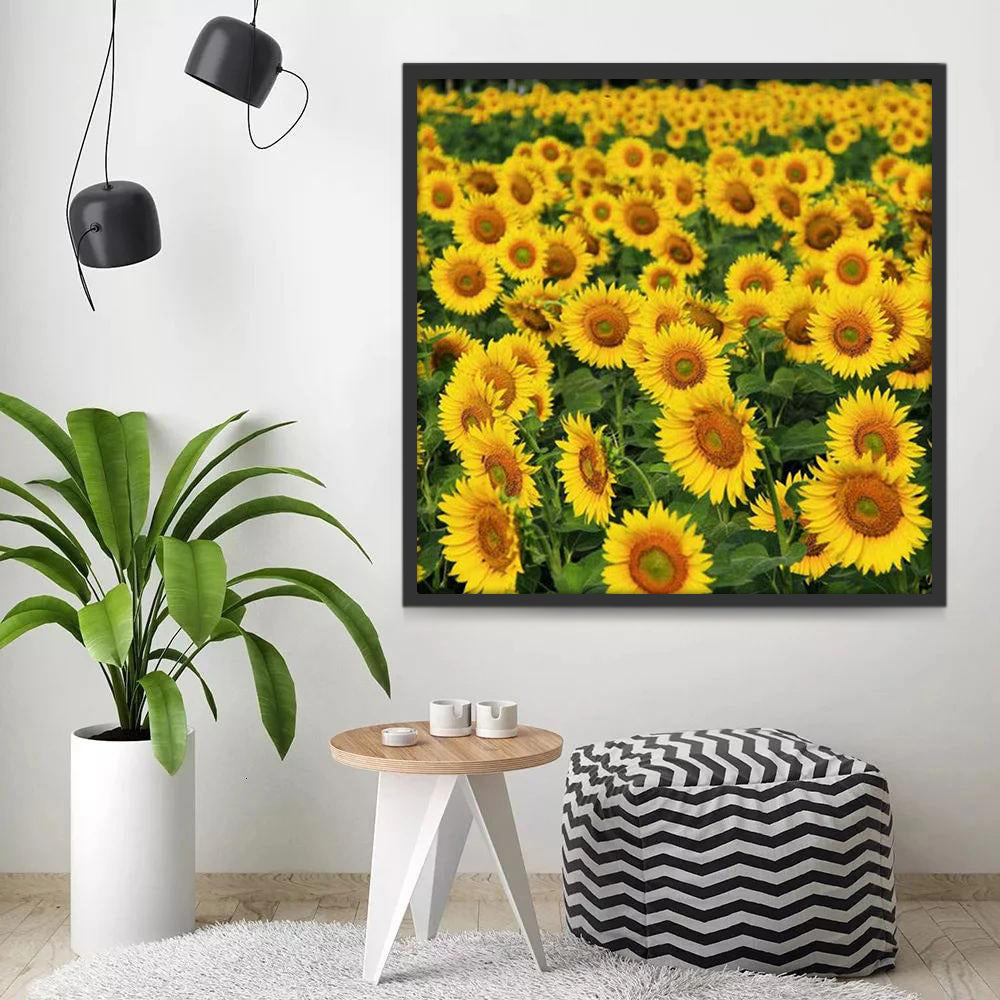 Plante Tournesol Pittoresque Peinture par Numéros