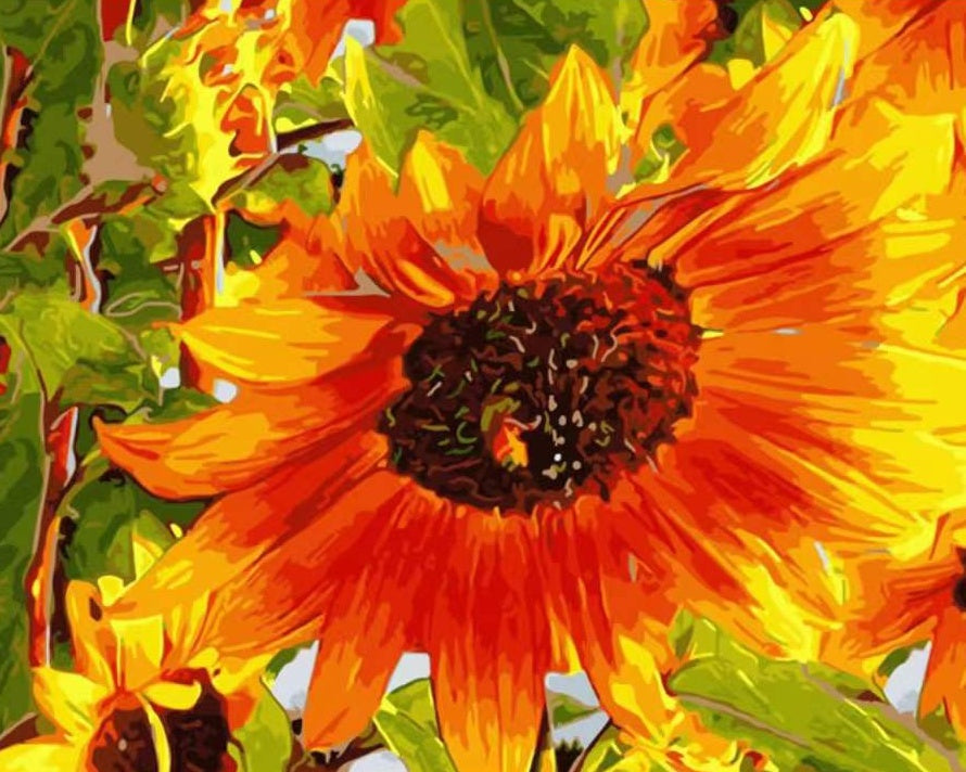 Plante Tournesol Roux Peinture par Numéros