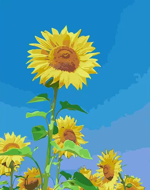 Plante Tournesol Sauvage et Ciel Bleu Peinture par Numéros