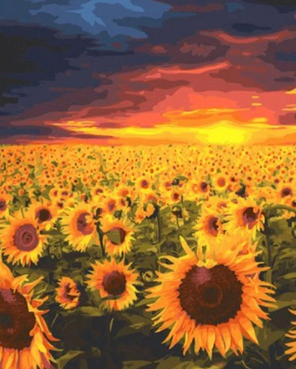 Plante Tournesols et Soleil Couchant Peinture par Numéros
