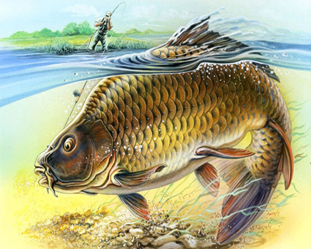 Poisson Enorme Peinture par Numéros