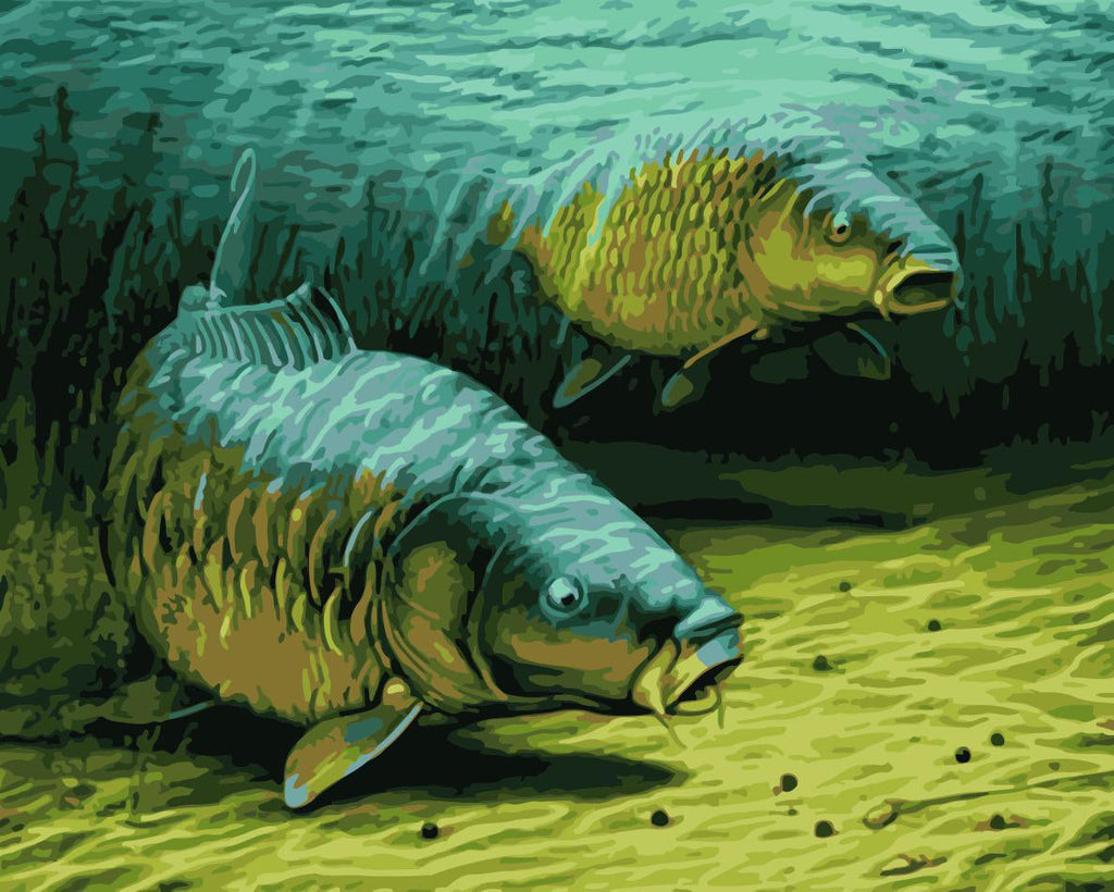 Poissons d'Eau Douce Peinture par Numéros