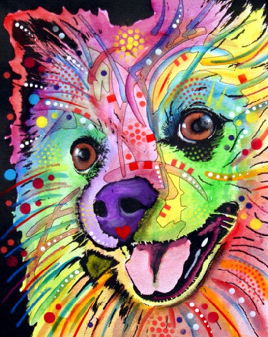 Pomeranian Multicolore Peinture par Numéros