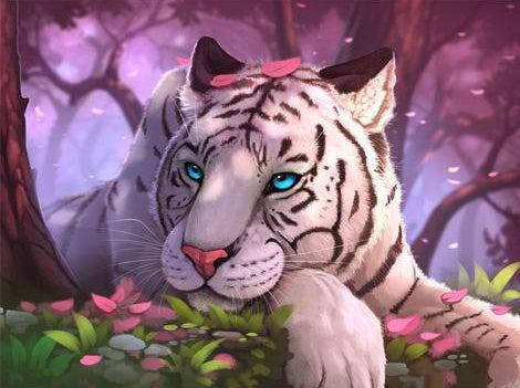 Princesse Tigre Blanc Peinture par Numéros