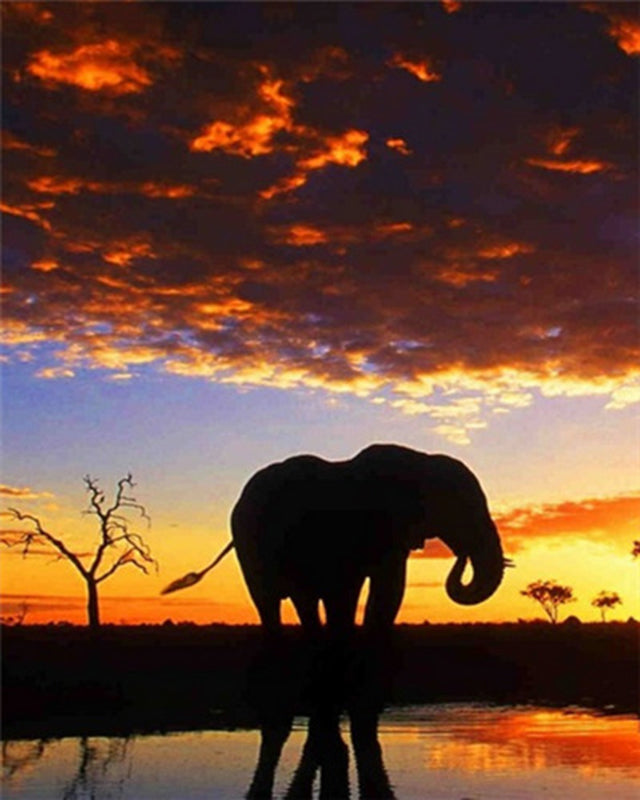 Profil d'Éléphant et Nuages Rouges Peinture par Numéros