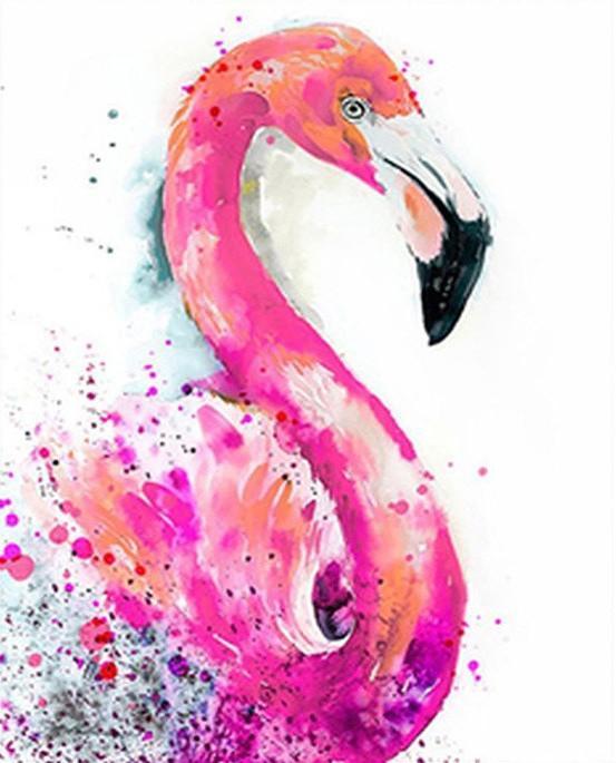 Profil de Flamant Peinture par Numéros