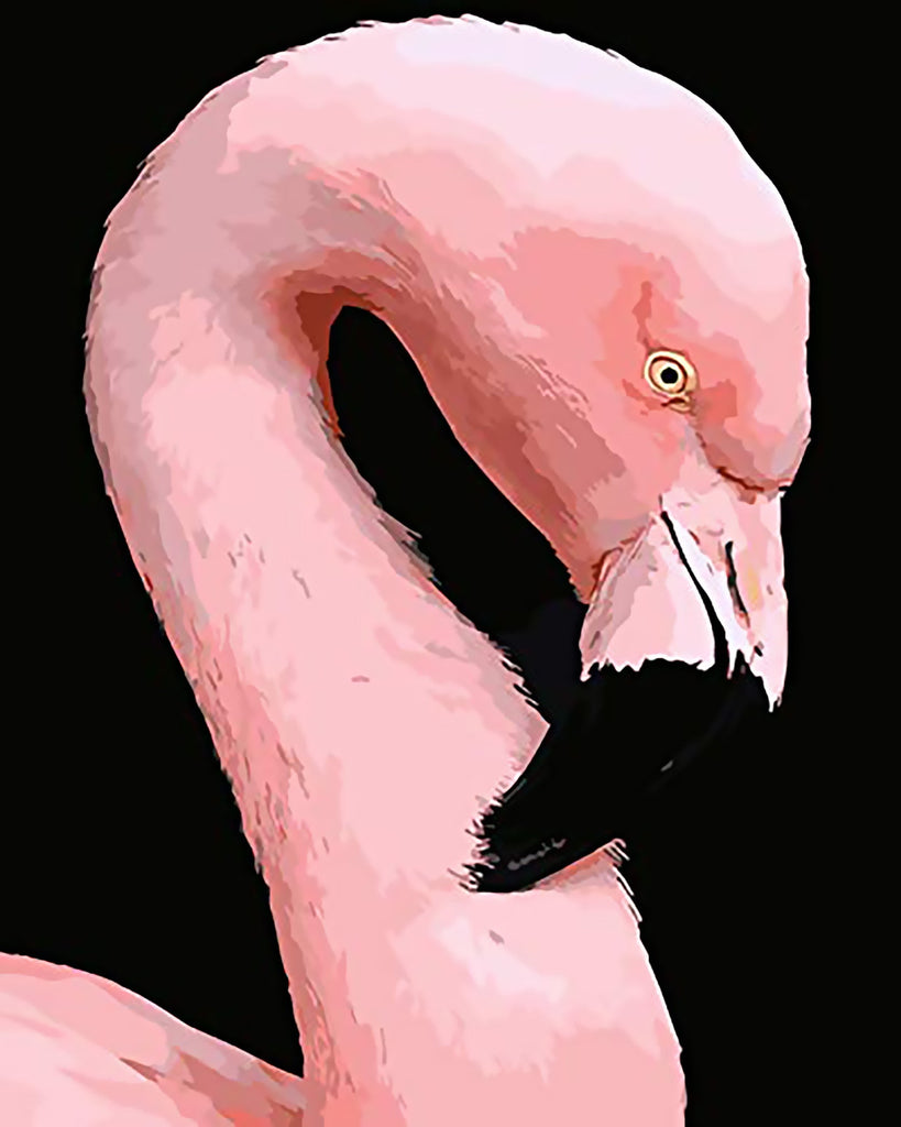 Profil de Flamant Rose Peinture par Numéros