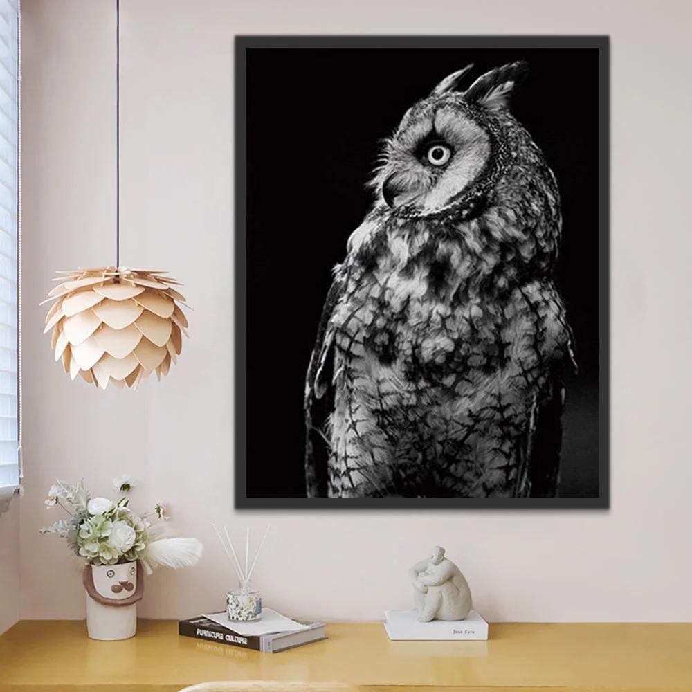 Profil de Hibou Peinture par Numéros