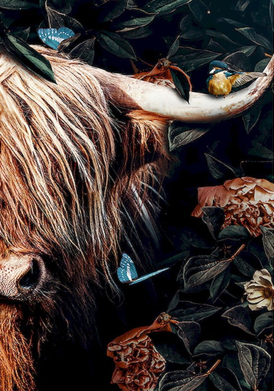 Profil de Yak Peinture par Numéros