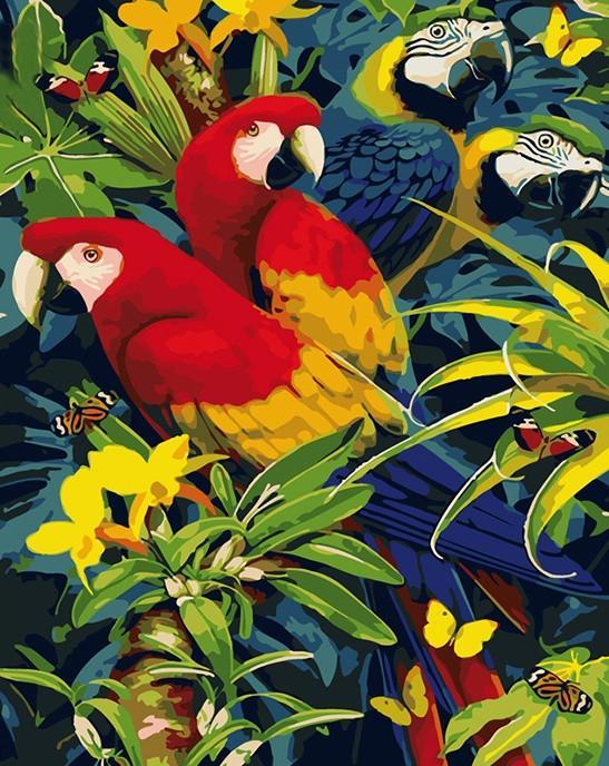 Quatre Perroquets Peinture par Numéros