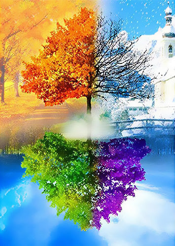 Quatre Saisons de l'Arbre Peinture par Numéros
