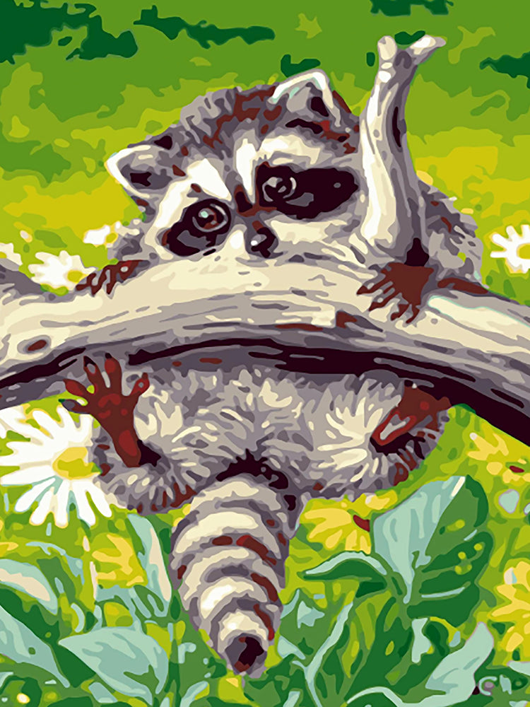 Racoon Coquin Peinture par Numéros