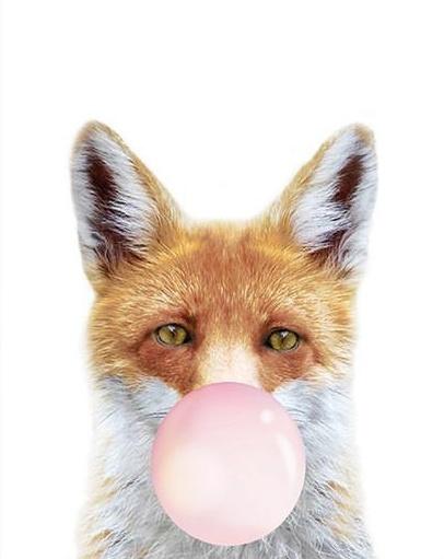 Renard et Ballon Peinture par Numéros