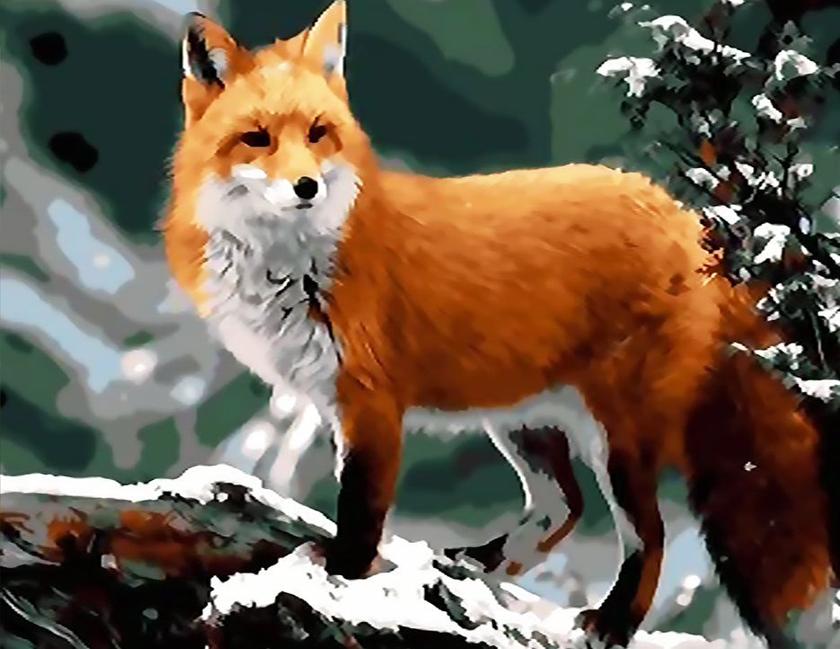 Renard et Hiver Peinture par Numéros