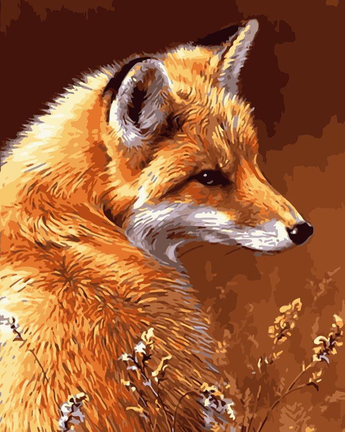Renard Rouge Peinture par Numéros