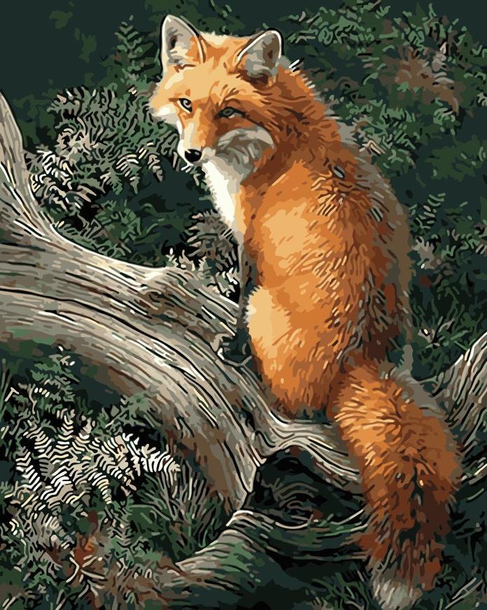 Renard sur la Branche Peinture par Numéros