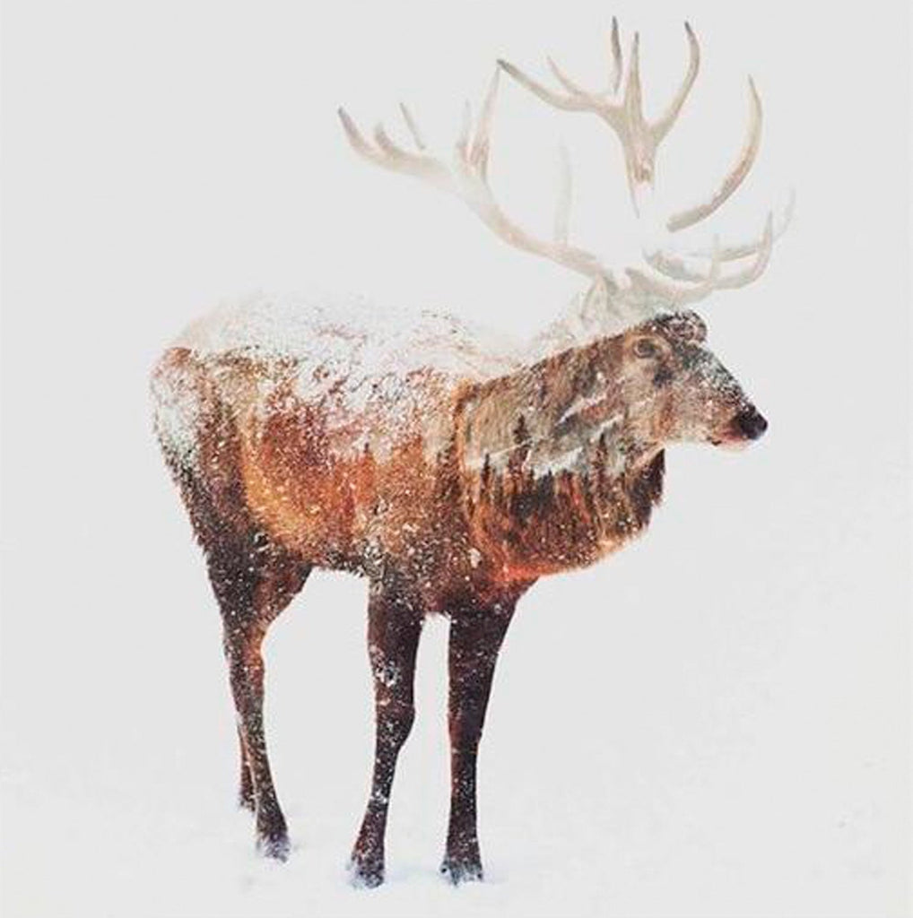 Renne dans la Neige Peinture par Numéros
