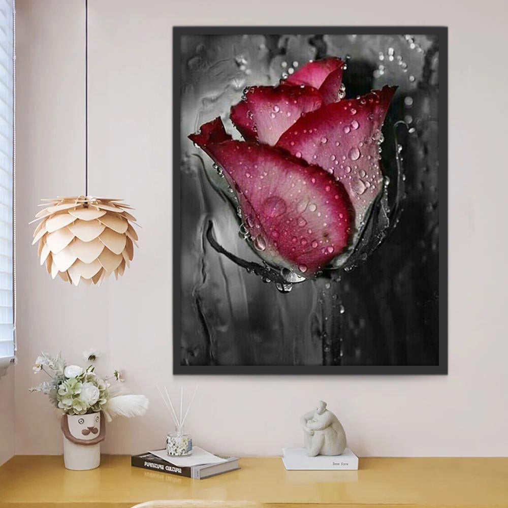 Rose et Rosées Peinture par Numéros