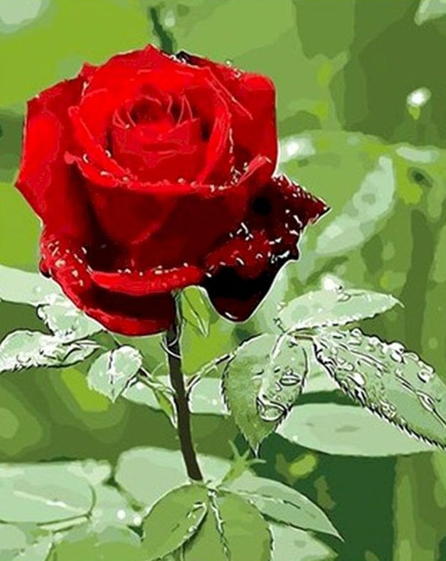 Rose Fleur Peinture par Numéros