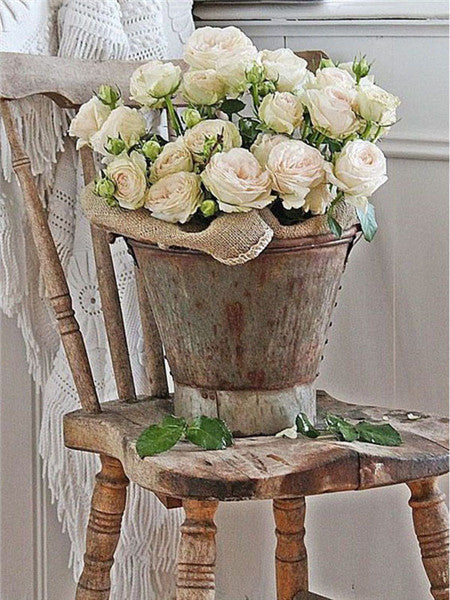 Roses Blanches et Seau Peinture par Numéros