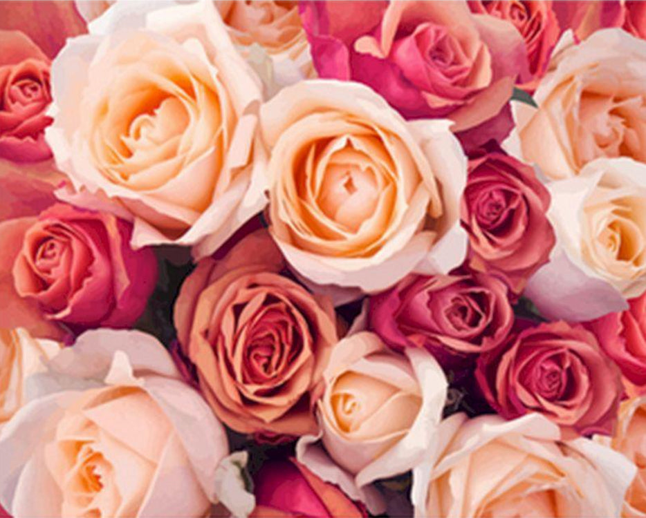Roses de Couleur Rose Peinture par Numéros