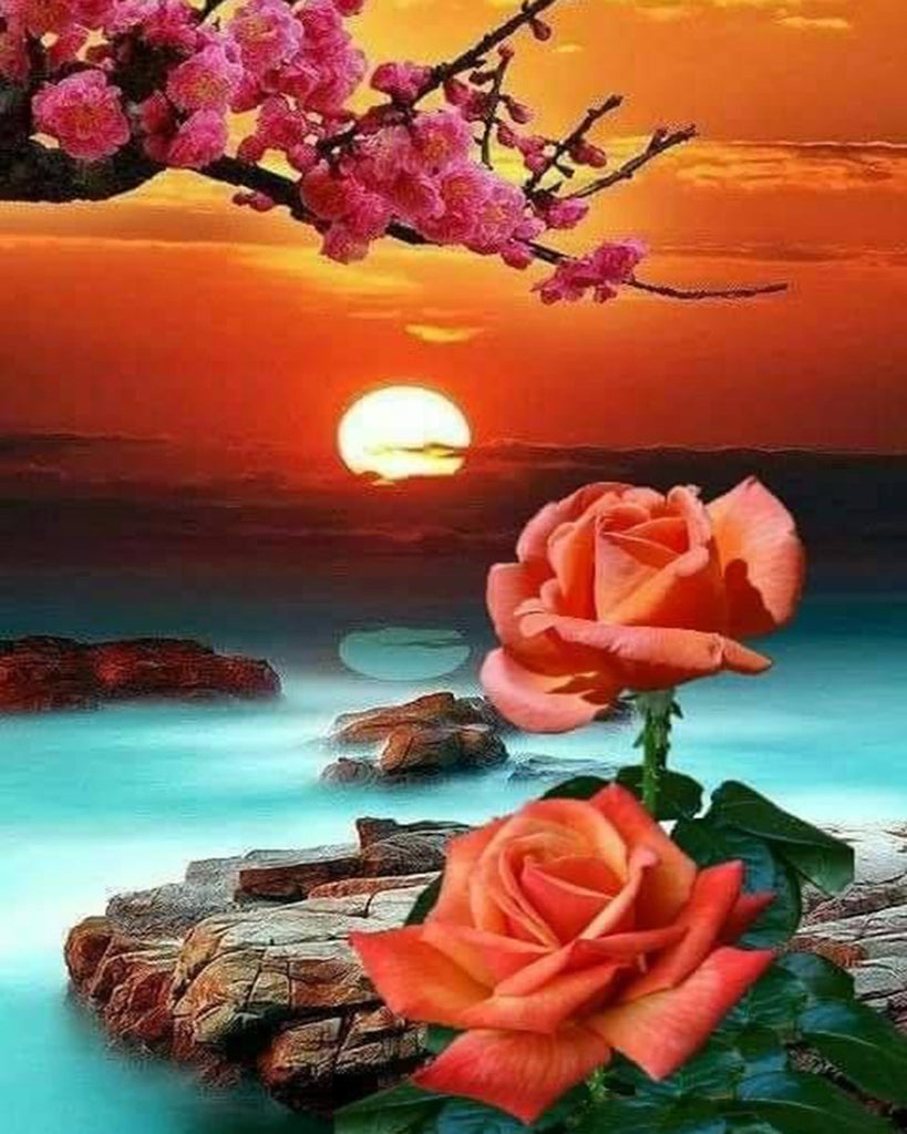 Roses et Soleil sur la Mer Peinture par Numéros