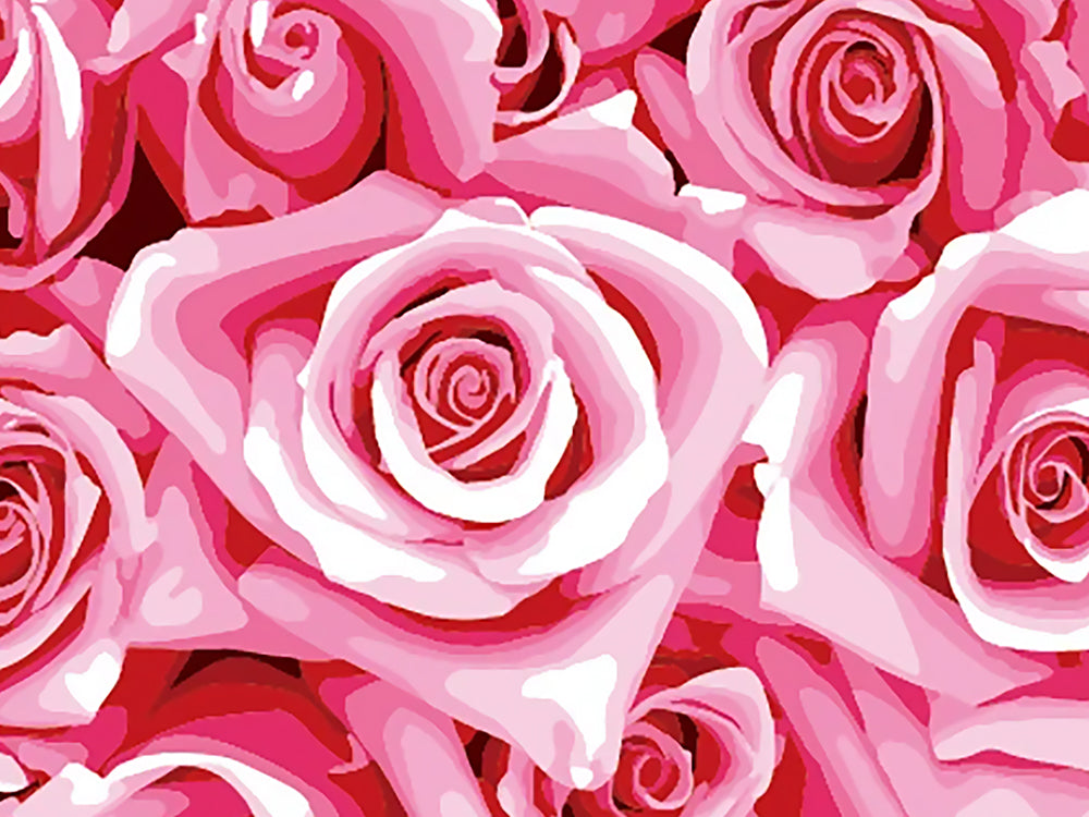 Roses Roses Peinture par Numéros
