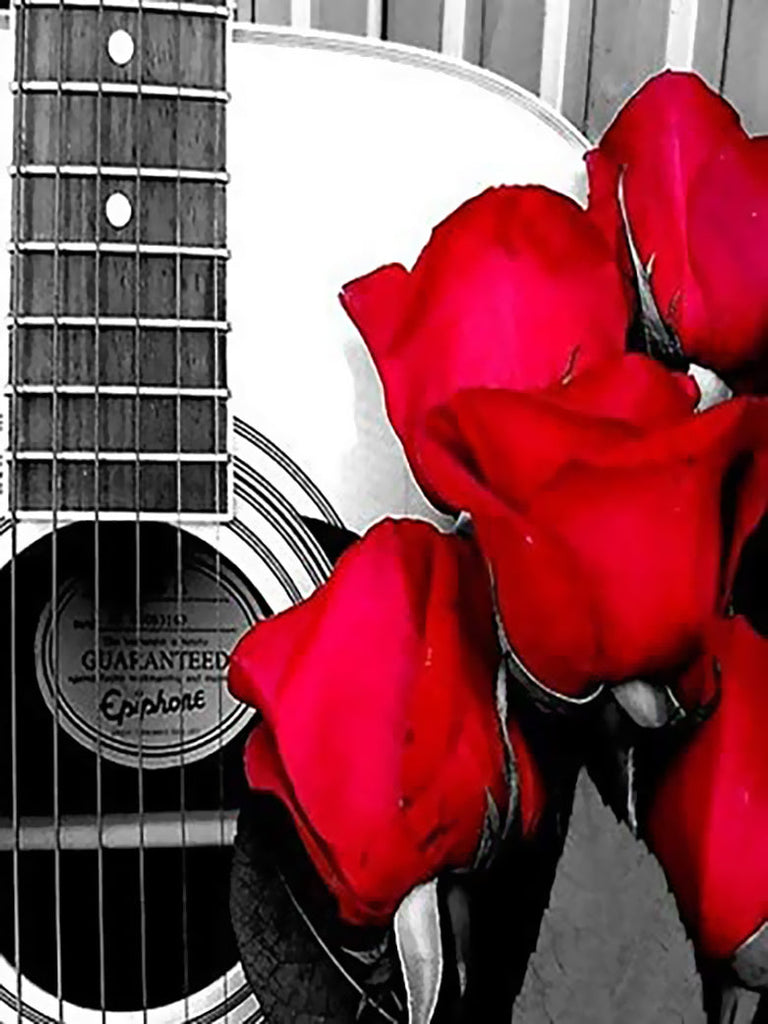 Roses Rouges et Guitare Peinture par Numéros