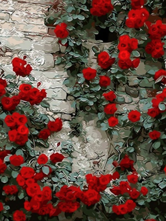 Roses Rouges et Mur Peinture par Numéros