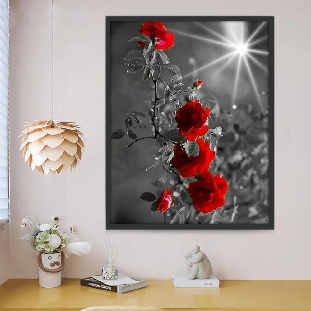 Roses Rouges et Soleil Peinture par Numéro