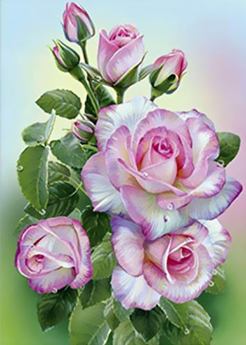 Roses Violettes et Blanches Peinture par Numéros