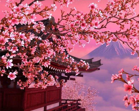Sakura Peinture par Numéros PBNNATW232