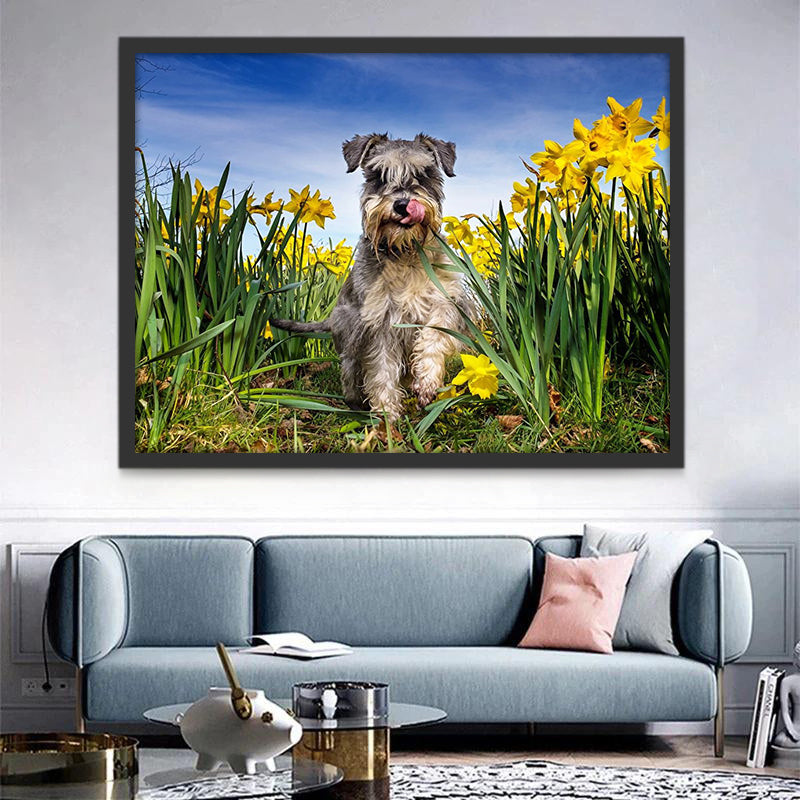 Schnauzer et les Fleurs Jaunes Peinture par Numéros
