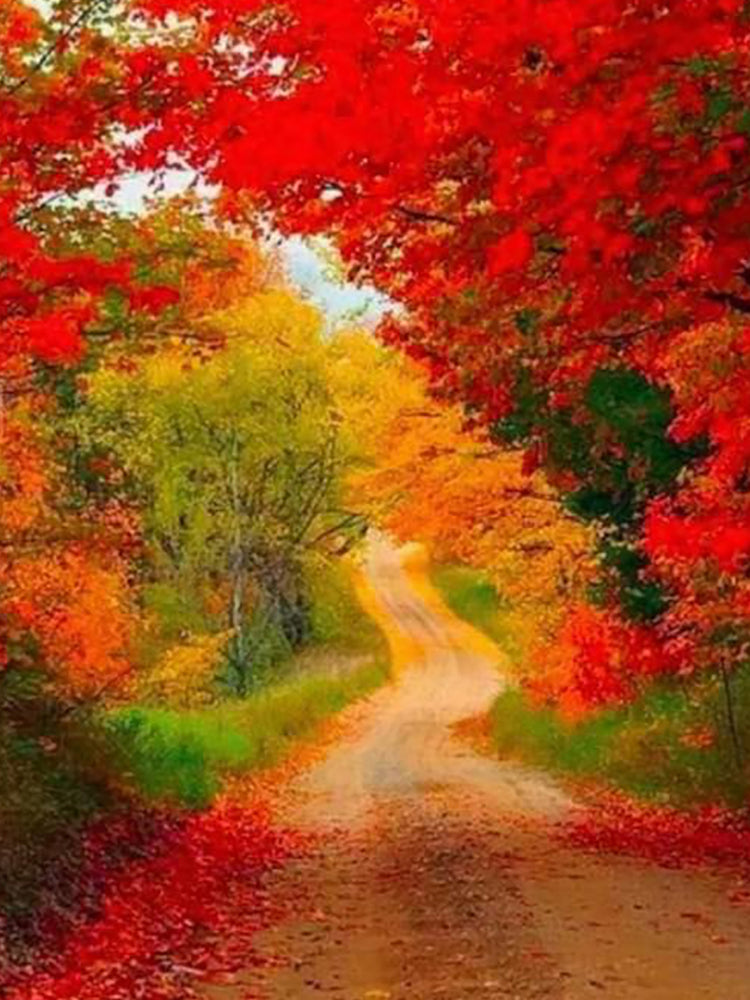 Sentier et Feuilles Rouges Peinture par Numéros