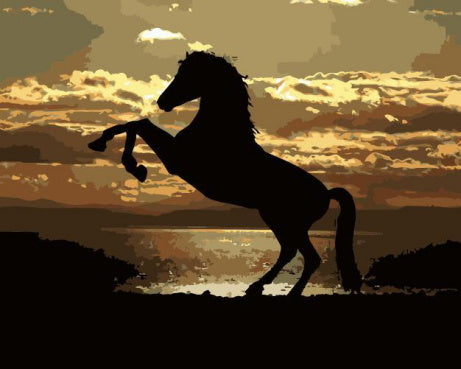 Silhouette de Cheval Peinture par Numéros