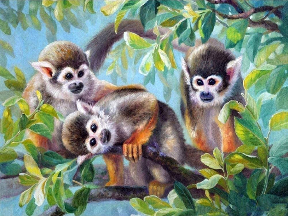 Singes-écureuils Adorables Peinture par Numéros