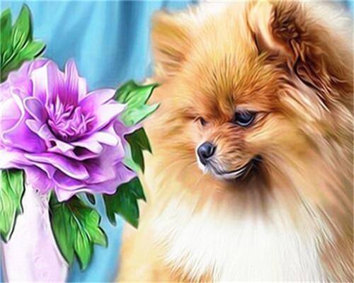 Spitz Nain et Fleur Violette Peinture par Numéros