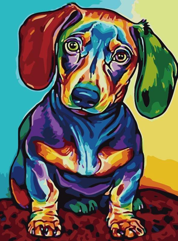 Teckel Coloré Peinture par Numéros