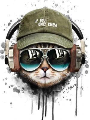 Tête de Chat à hip-hop Peinture par Numéros