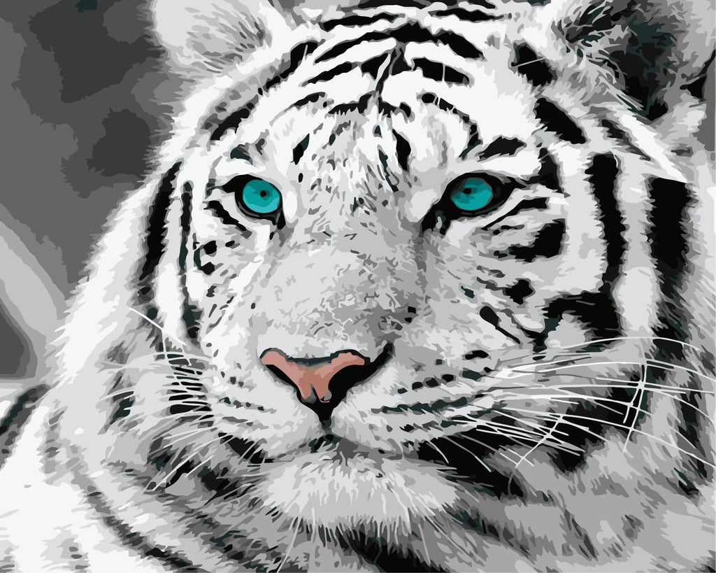 Tigre Blanc aux Yeux Bleus Peinture par Numéros