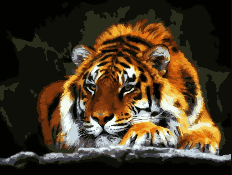 Tigre Couché sur le Ventre Peinture par Numéros